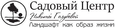 Nikita Golubeva site